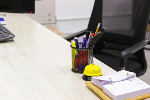 Life Binder Pro Organization